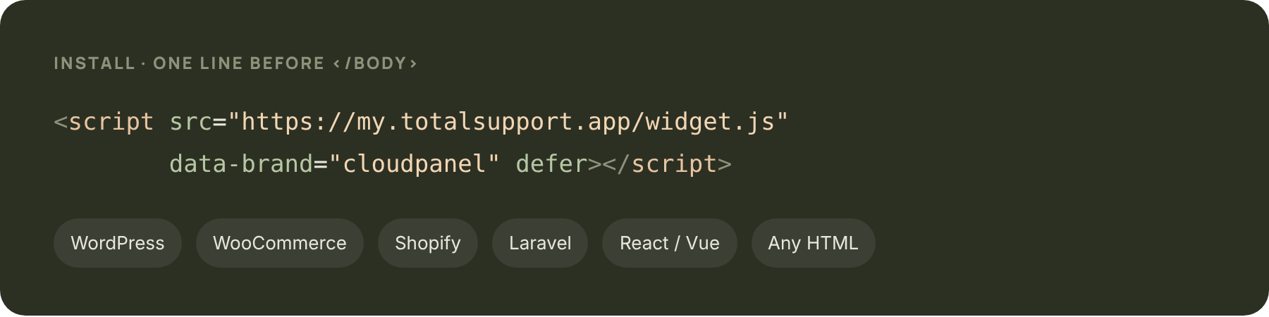 The widget install script: one line before the closing body tag